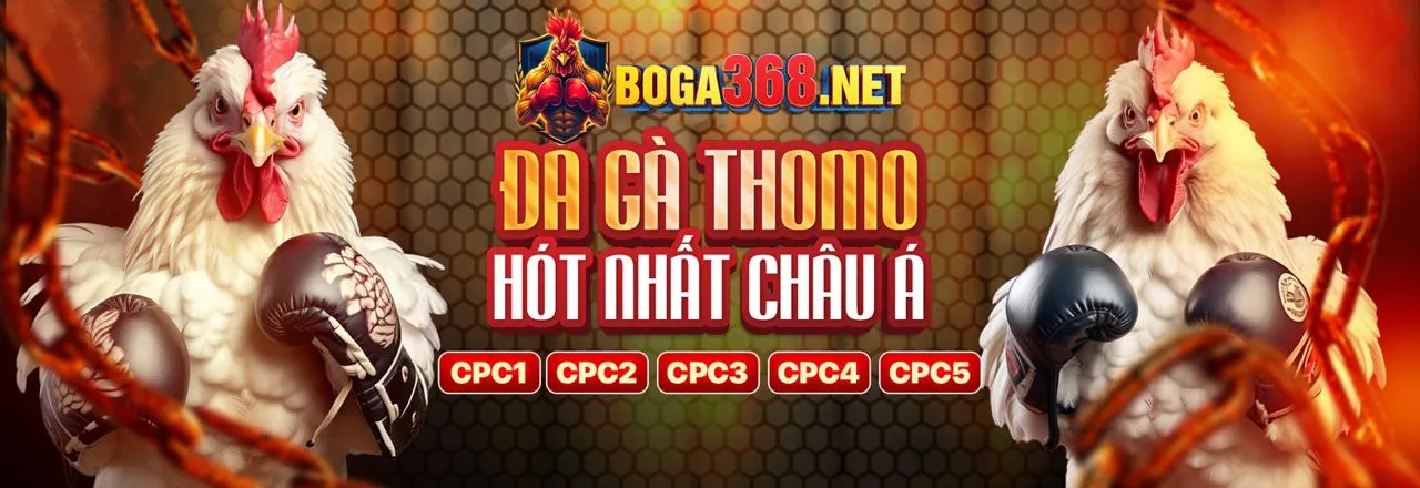 Hình ảnh chính sách quyền riêng tư HII88